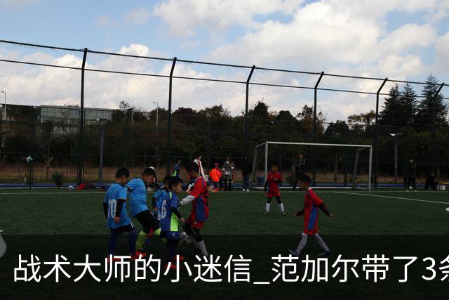 战术大师的小迷信 范加尔带了3条橙色内裤到卡塔尔
