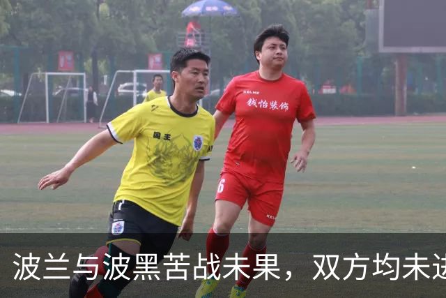 波兰与波黑苦战未果，双方均未进球